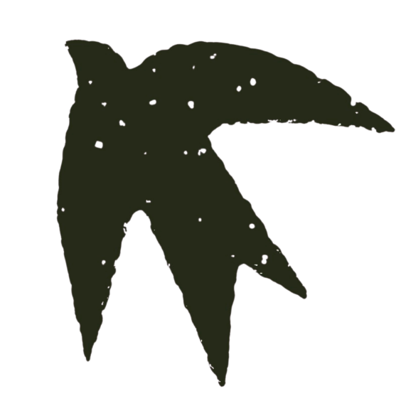 A dark olive green, distressed graphic emblem resembling stylized bird wings - The NUA Swallow
